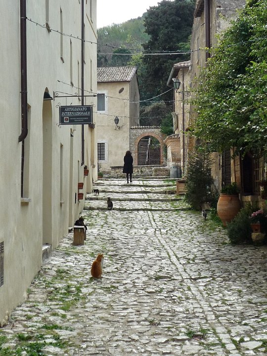 P1100216.jpg - La via del Monastero, nel Borgo di Farfa, che sembra molto amata ..... dai gatti!!