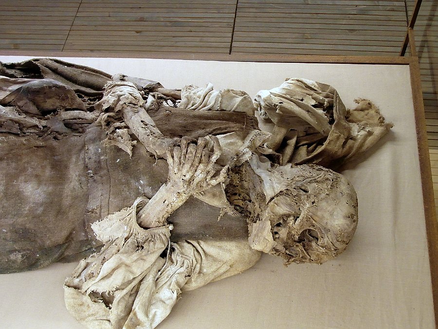 SAM_9633.jpg - ... particolare di una delle mummie esposte ...